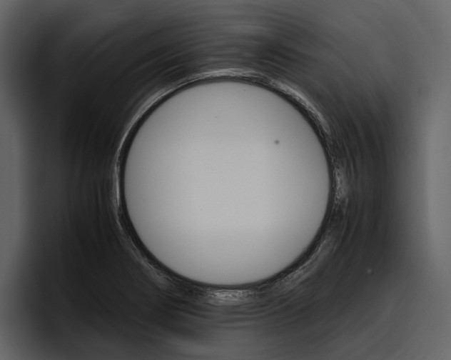 X0000097481274200802220813