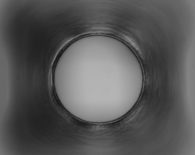 X0000097481275200802220813