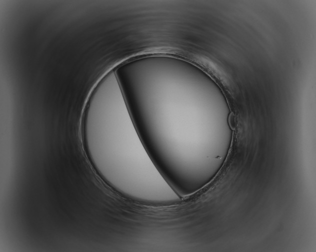 X0000097481276200802220813