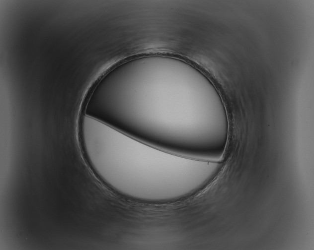 X0000097481277200802220813