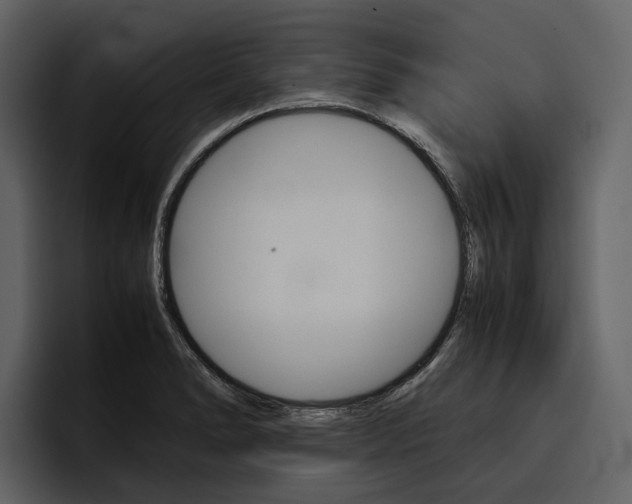 X0000097481278200802220813
