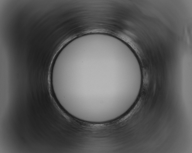 X0000097481282200802220813
