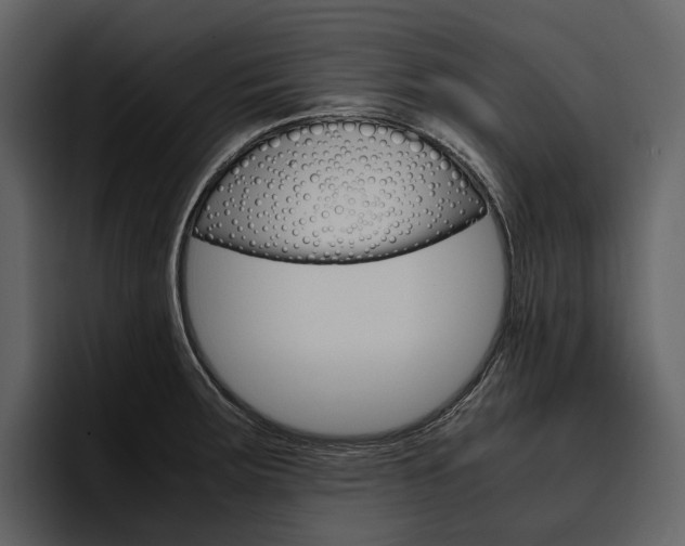 X0000097481283200802220813
