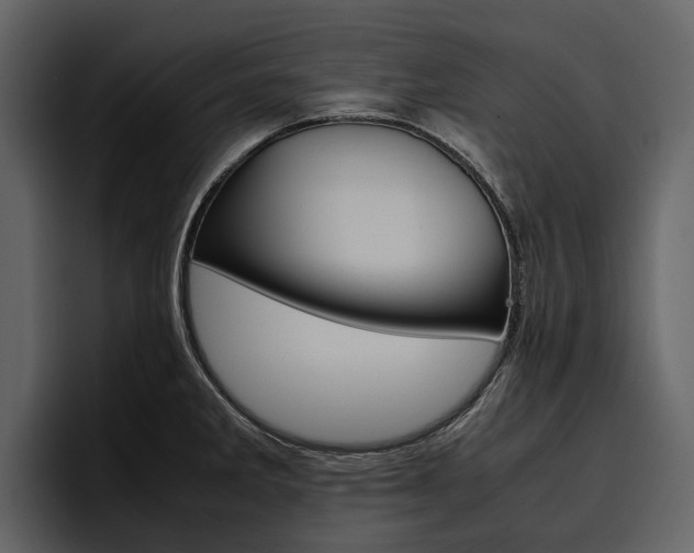 X0000097481285200802220813