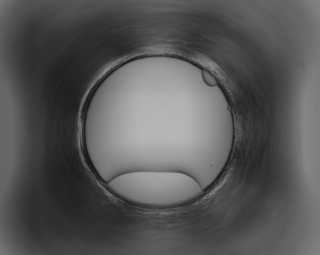X0000097481286200802220813