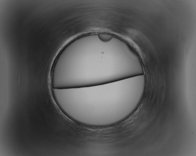 X0000097481287200802220813