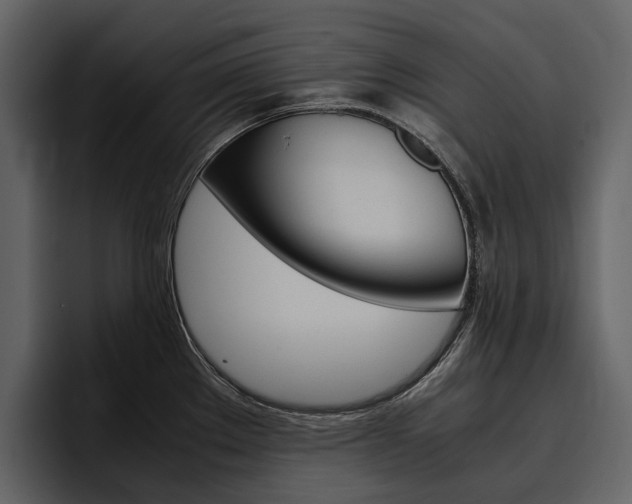 X0000097481289200802220813