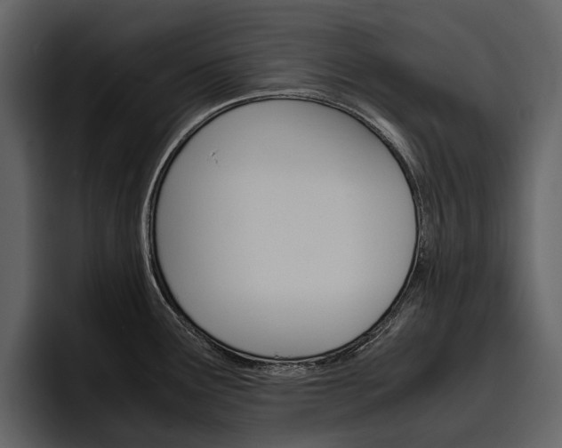 X0000097481291200802220813