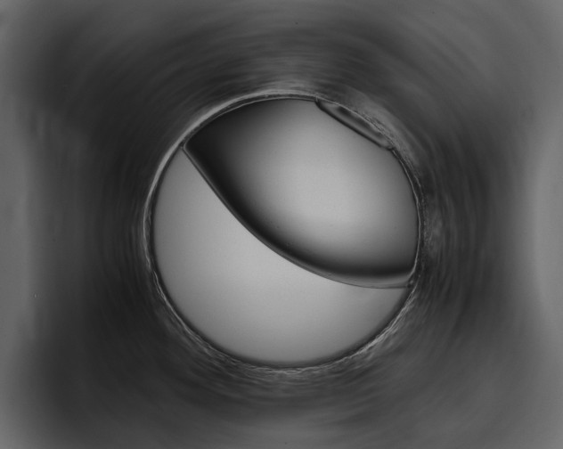 X0000097481292200802220813