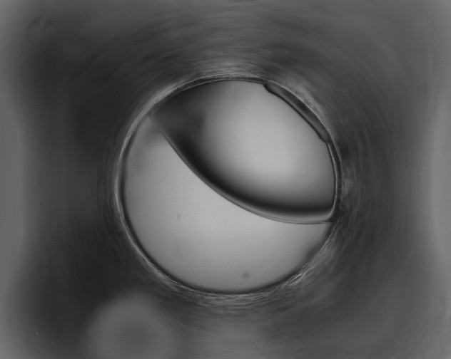 X0000097481293200802220813
