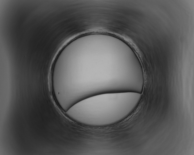 X0000097481295200802220813