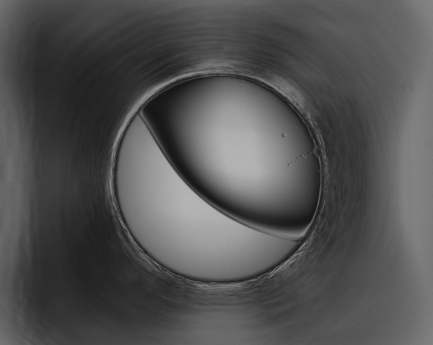 X0000097481296200802220813