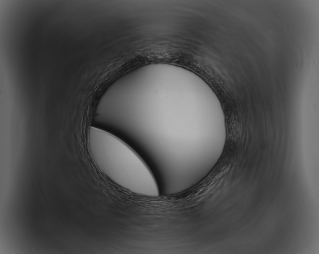 X0000097481297200802220812