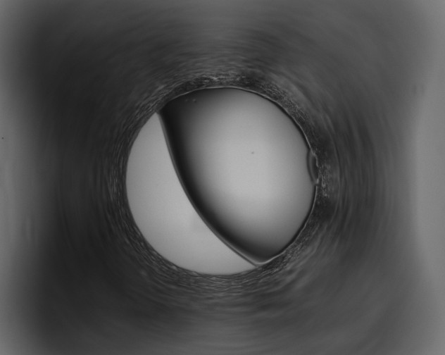 X0000097481298200802220812