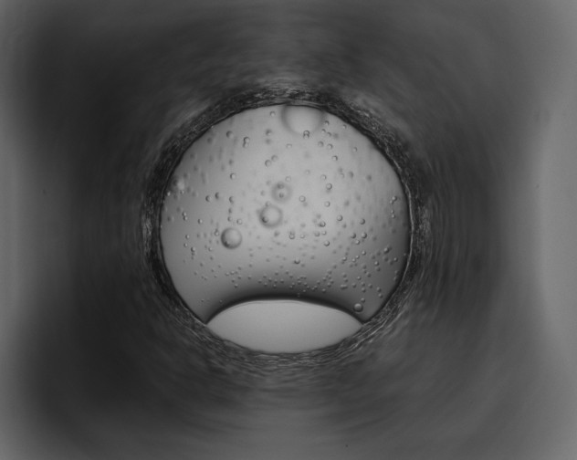 X0000097481302200802220812