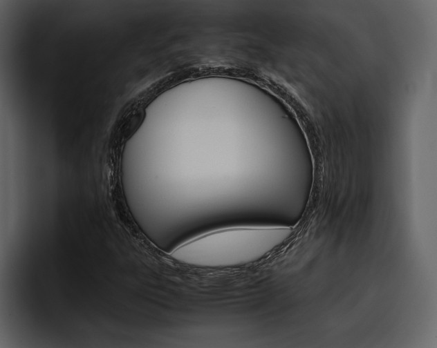 X0000097481303200802220812
