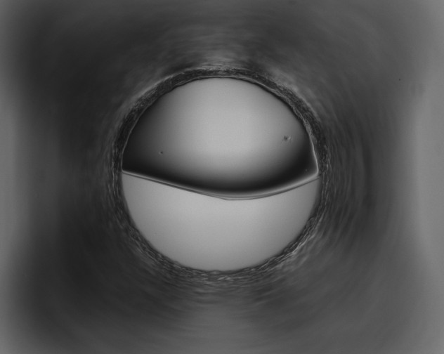 X0000097481304200802220812