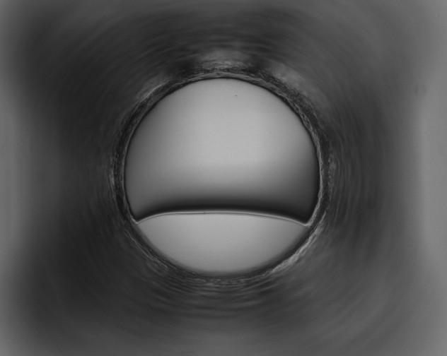 X0000097481305200802220812