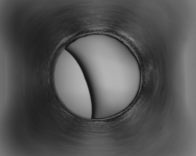 X0000097481306200802220812