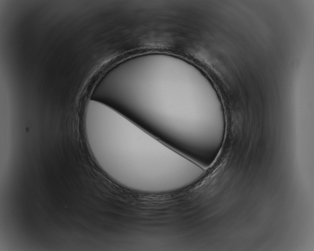 X0000097481307200802220812