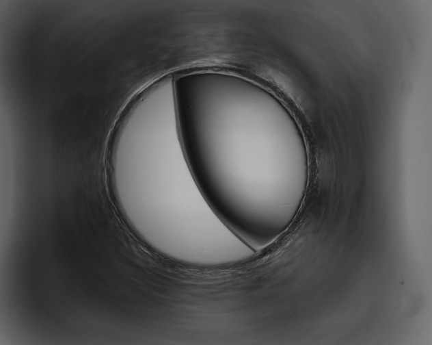X0000097481308200802220812