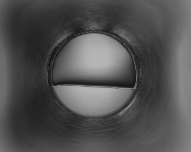X0000097481309200802220812
