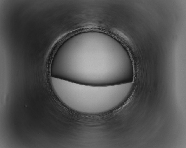 X0000097481310200802220812