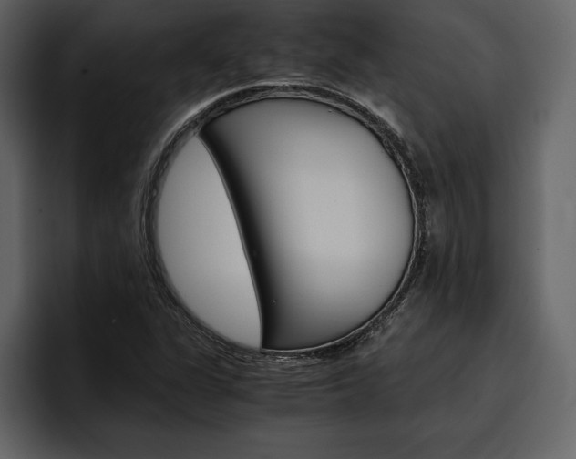 X0000097481311200802220813