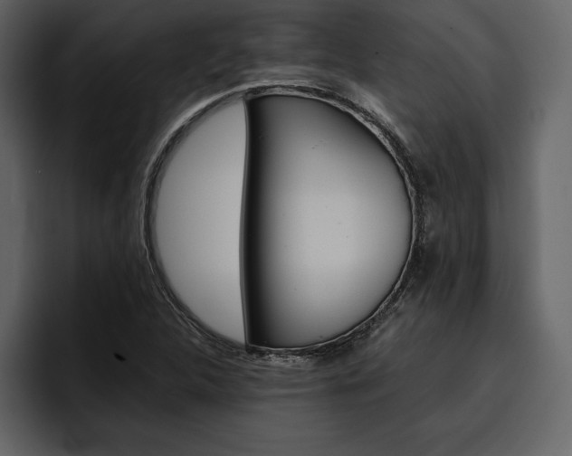 X0000097481312200802220813