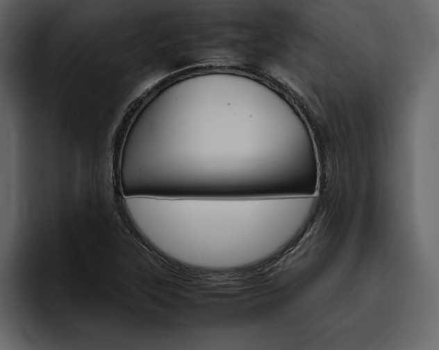 X0000097481315200802220813