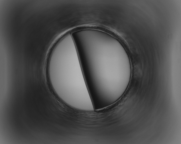 X0000097481319200802220813