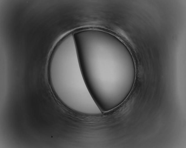 X0000097481320200802220813