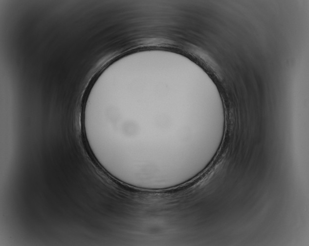 X0000097481322200802220813