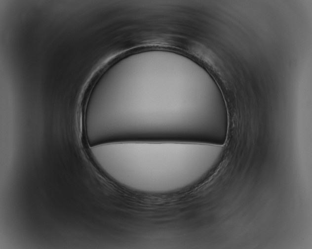 X0000097481323200802220813