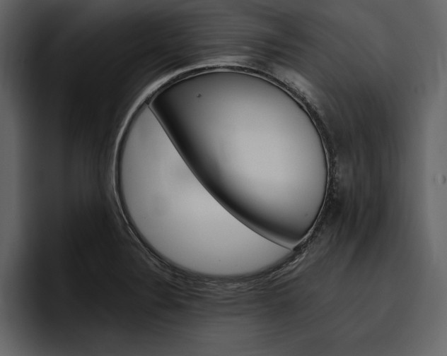 X0000097481324200802220813