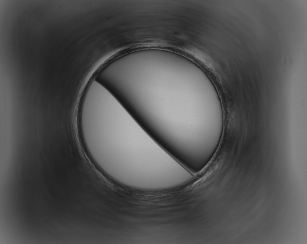 X0000097481325200802220813