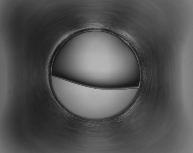 X0000097481326200802220813