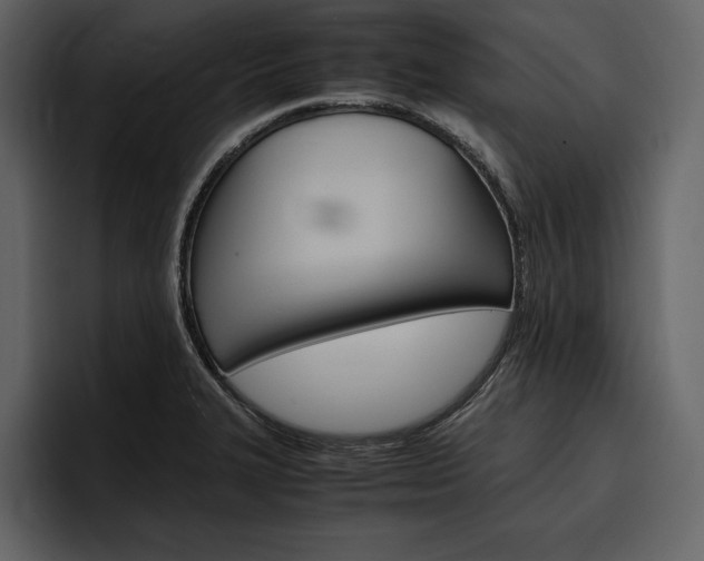 X0000097481327200802220813