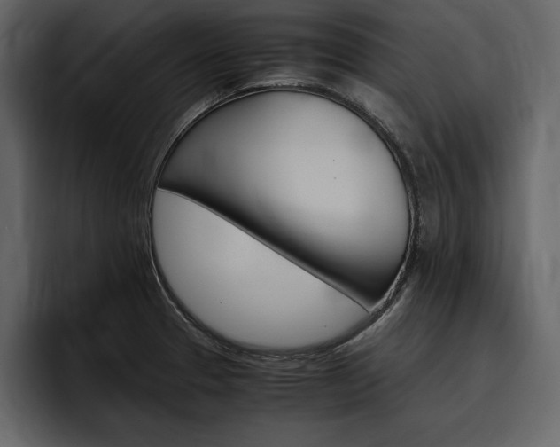 X0000097481329200802220813