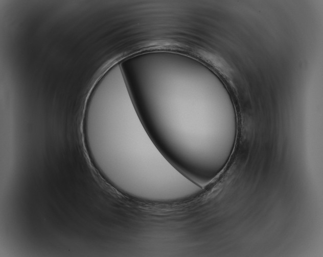 X0000097481330200802220813