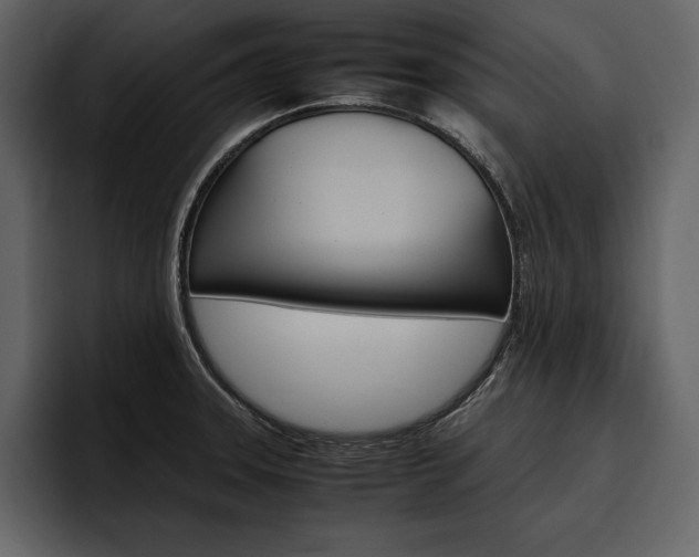 X0000097481331200802220813