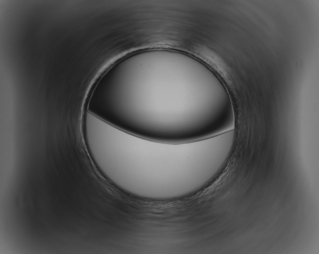 X0000097481332200802220813