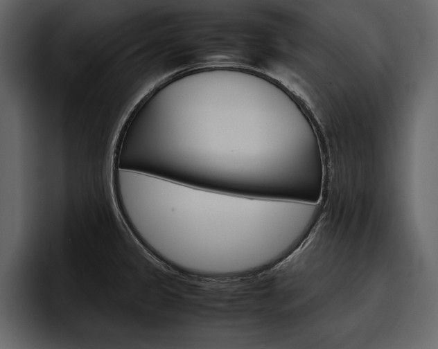 X0000097481333200802220813