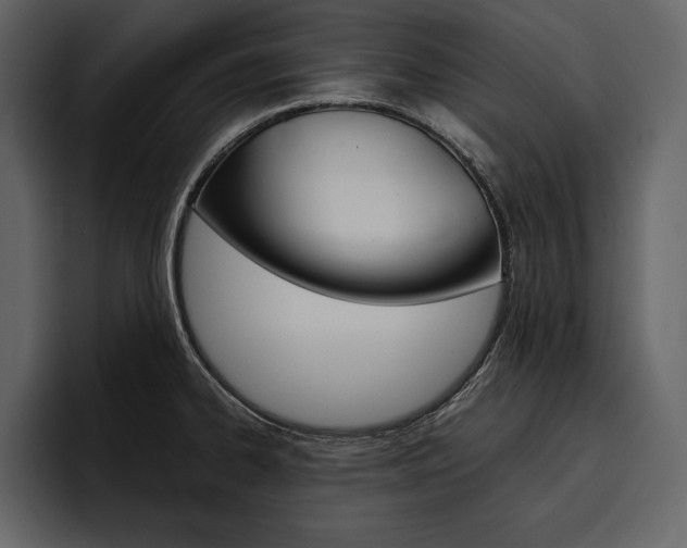 X0000097481334200802220813