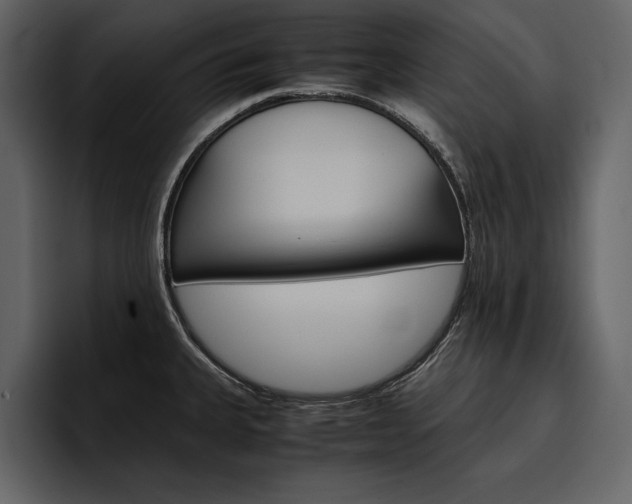 X0000097481335200802220813
