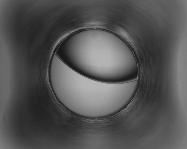 X0000097481336200802220813