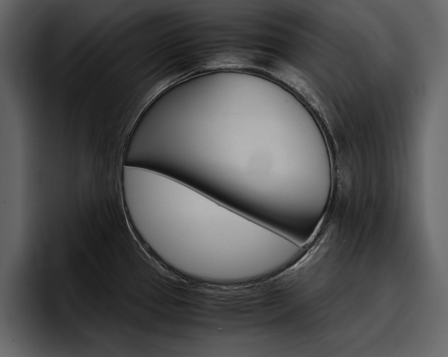 X0000097481337200802220813