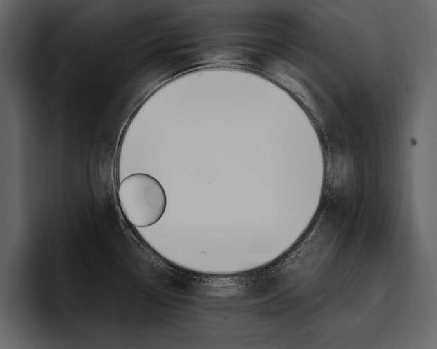 X0000097481338200802220813
