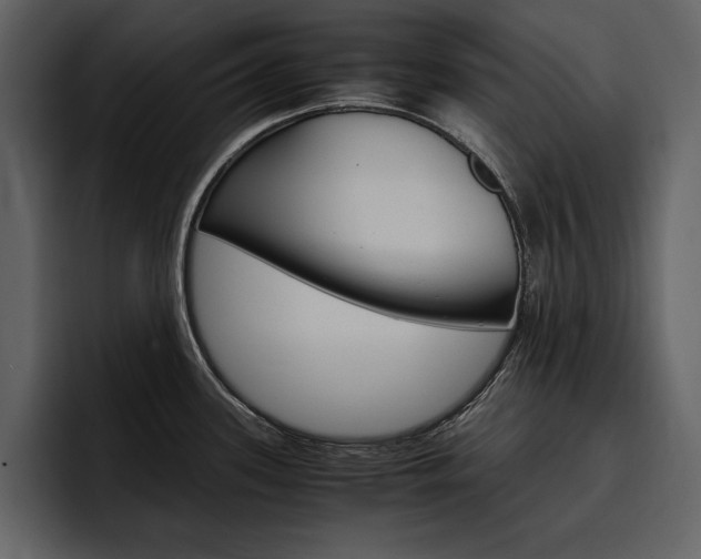 X0000097481339200802220813