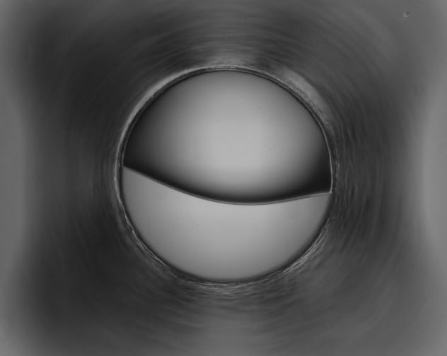 X0000097481340200802220813